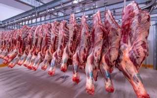 وزارة الزراعة تستمر في ضخ السلع الغذائية.. وهذه أسعار اللحوم في الأسواق ومنافذ الدولة