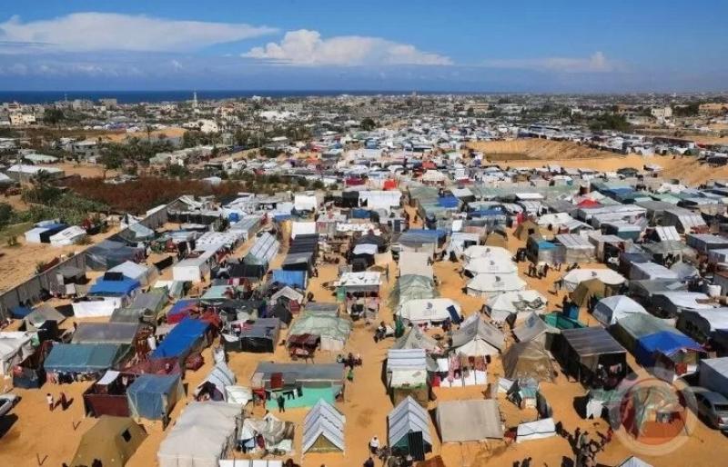 رفح الفلسطينية