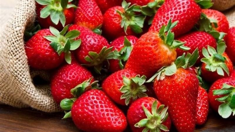 صادرات الفراولة المصرية 