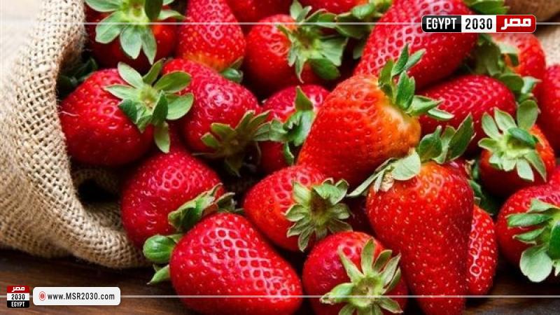 صادرات الفراولة المصرية 