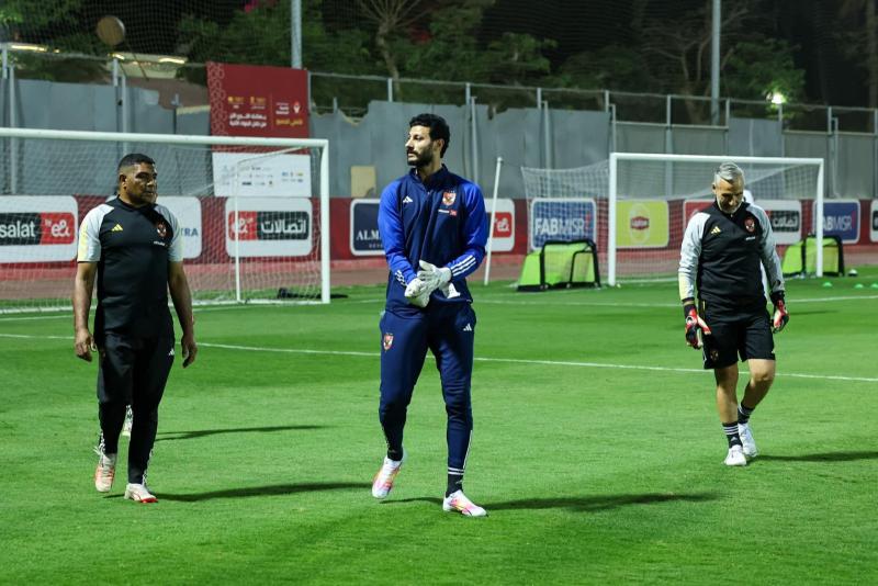 محمد الشناوي 