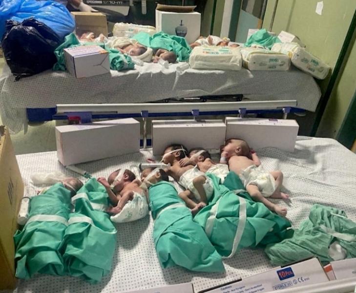 أطفال حديثي الولادة من مستشفى الشفاء بغزة
