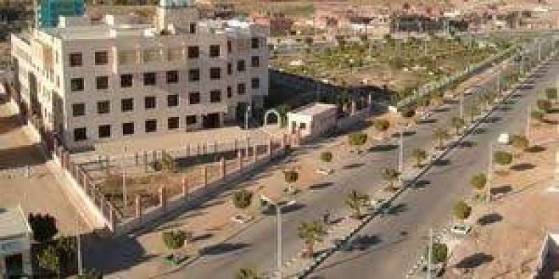 الوادي الجديد 