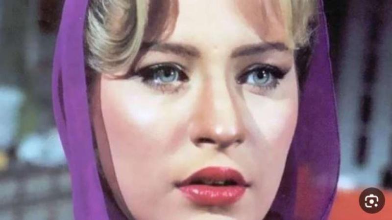 شيرين سيف النصر