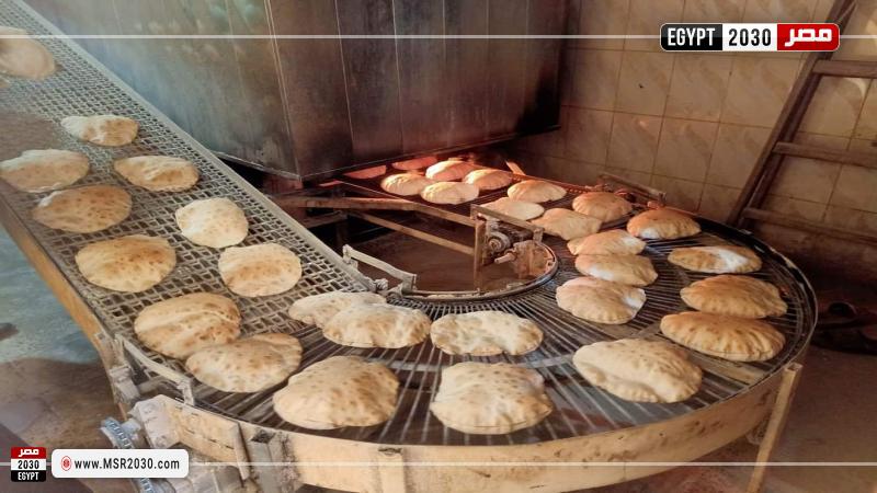 محافظة كفرالشيخ 