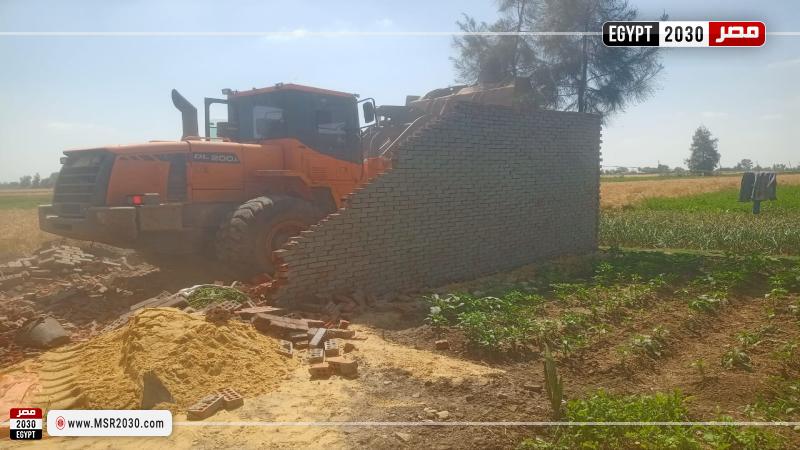 محافظة كفرالشيخ