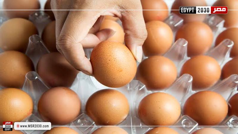 مصر 2030