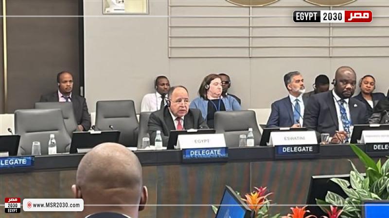 وزير المالية