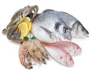 أسعار السمك اليوم الثلاثاء للمستهلك.. «البلطي بـ90 جنيهًا»