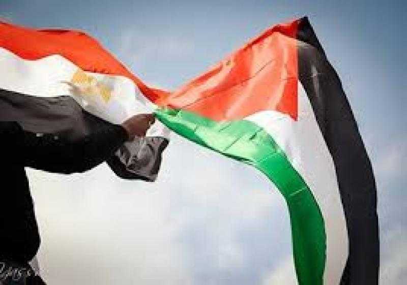 خبير علاقات دولية: مصر تحشد الدعم الدولي للقضية الفلسطينية