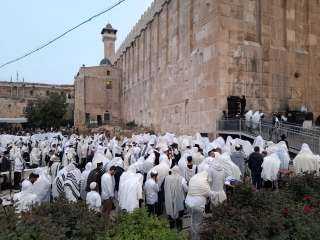 مئات المستعمرين يقتحمون الحرم الإبراهيمي والبلدة القديمة من الخليل