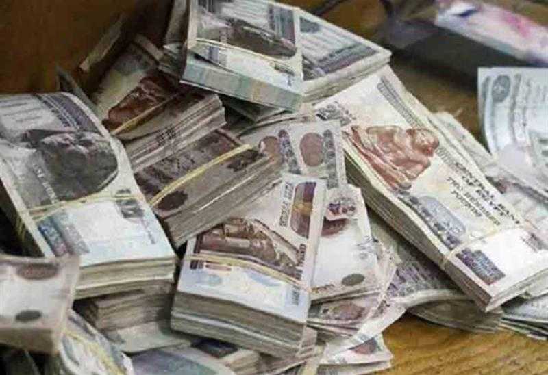 قرار عاجل ضد المتهم بالنصب على المواطنين في المنوفية