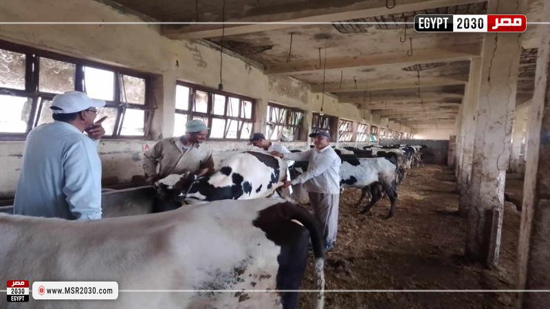 محافظة البحيرة