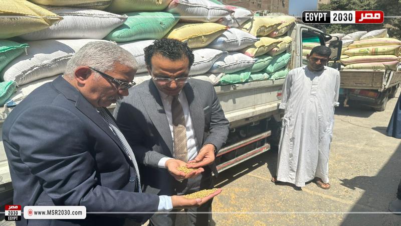 توريد القمح