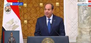 السيسي: أؤكد موقف مصر الراسخ باحترام سيادة ووحدة أراضي البوسنة والهرسك