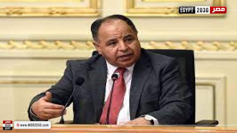 وزير المالية المصرية 