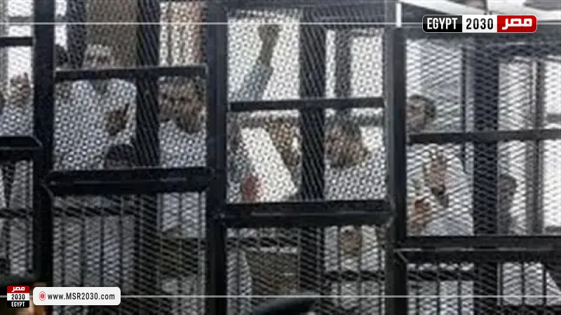 خلية القاهرة الجديدة