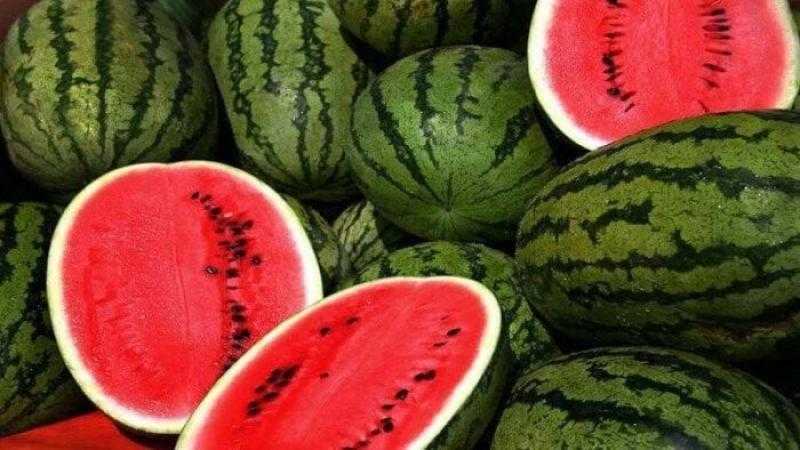 لن تصدق فوائد البطيخ المذهلة.. تفاصيل
