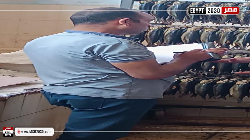 محافظة البحيرة 