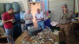 محافظ كفرالشيخ: ضبط 700 كجم أسماك مملحة غير صالحة للاستهلاك الآدمي بفوه