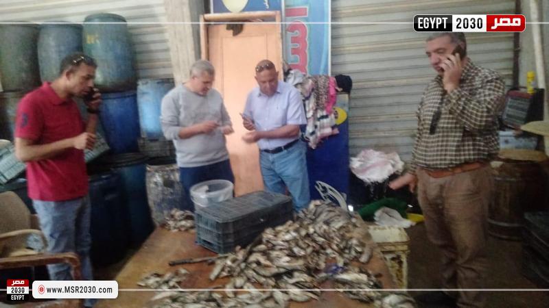 محافظة كفرالشيخ