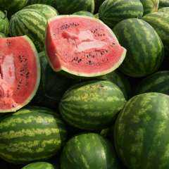 أبرز العلامات التي تدل على جودة البطيخ