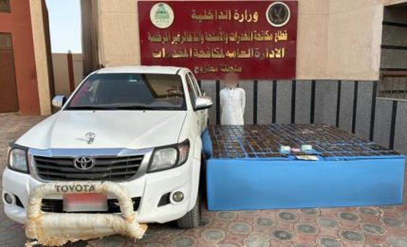 مخدر الحشيش 