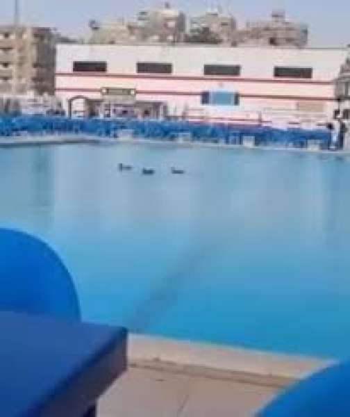 الزمالك يكشف حقيقة صورة 