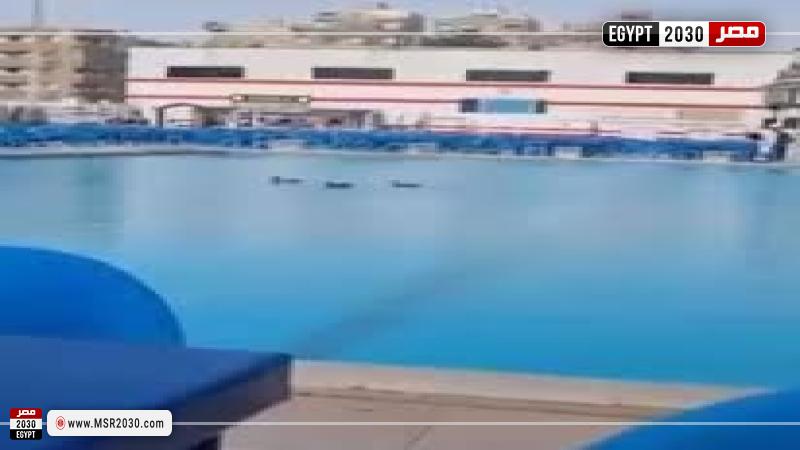 الزمالك يكشف حقيقة صورة