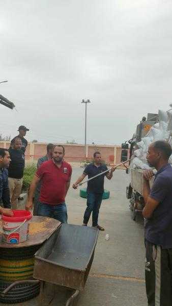 توريد 161687 طن من محصول القمح لموسم حصاد 2024 بمحافظة البحيرة