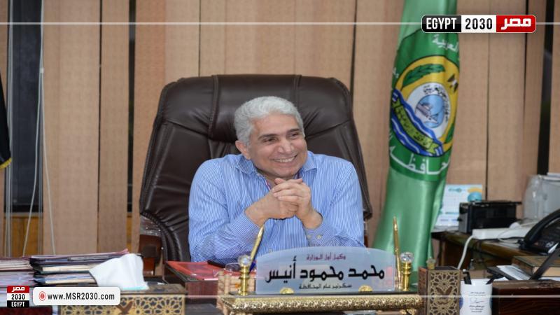 محمد أنيس
