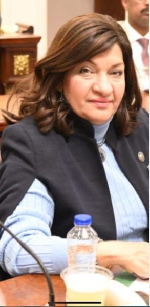 النائبة ايفلين متى 