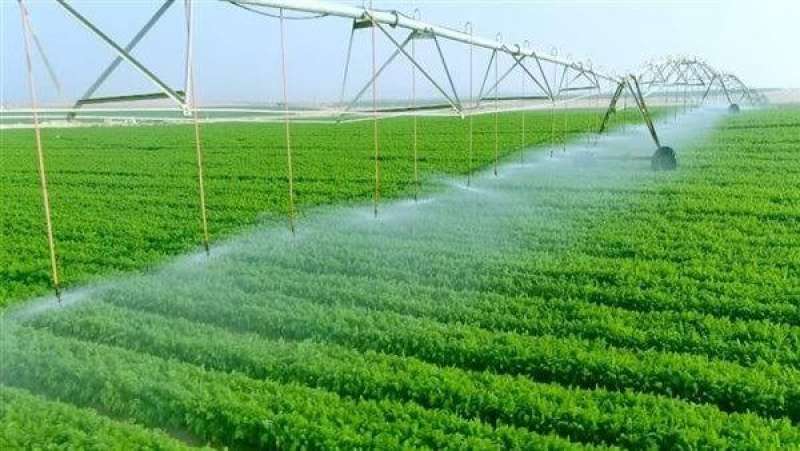 مشروع مستقبل مصر للإنتاج الزراعي