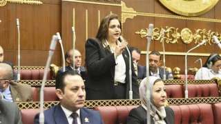 هيام فاروق ”نائبة التنسيقية” تطالب بتخصيص لجنة ضريبية بكل محافظة
