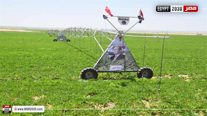 مشروع مستقبل مصر