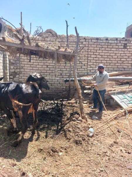 حفاظًا على الثروة الحيوانية والداجنة نشاط كبير لمديرية الطب البيطري بالإسماعيلية خلال شهر أبريل ٢٠٢٤