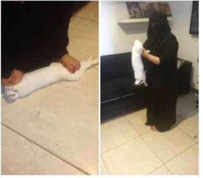 البلوجر شيماء هريدي