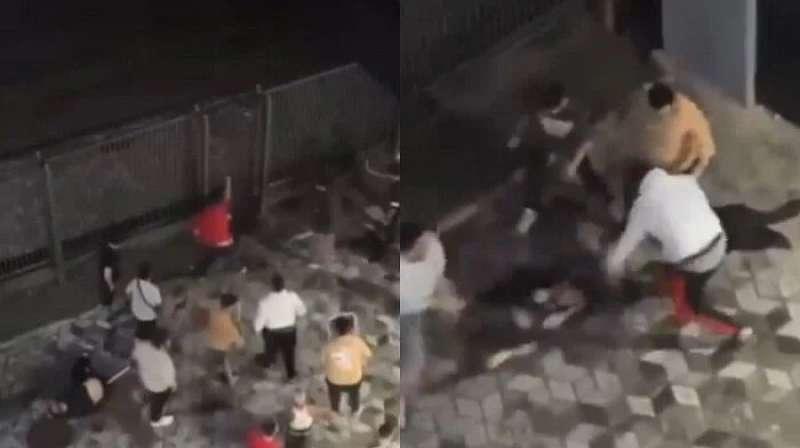 الهجوم على طلاب مصريين في قرغيزستان