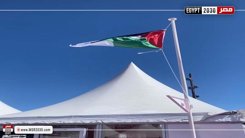 رفع علم فلسطين بمهرجان كان