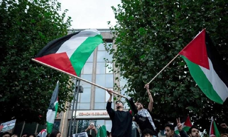 فلسطين