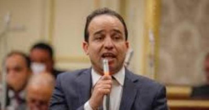 محمد إسماعيل عضو مجلس النواب السابق