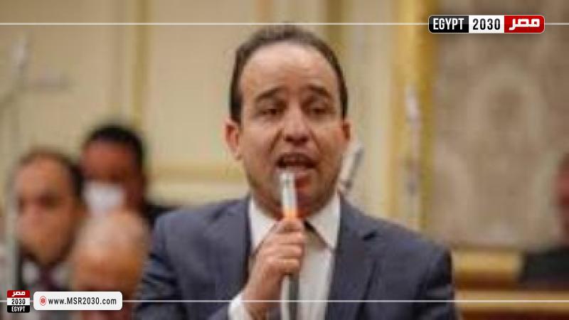 محمد إسماعيل عضو مجلس النواب السابق