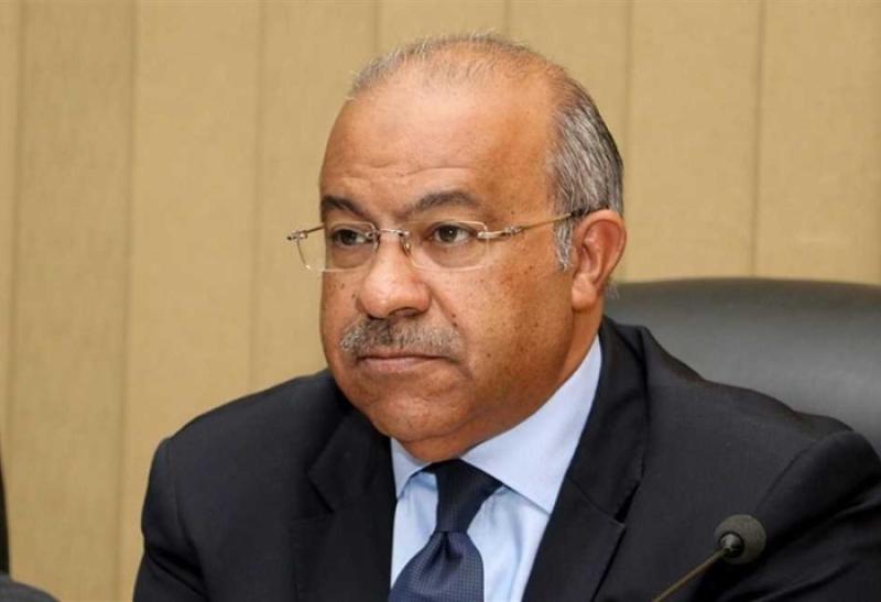 مصر 2030