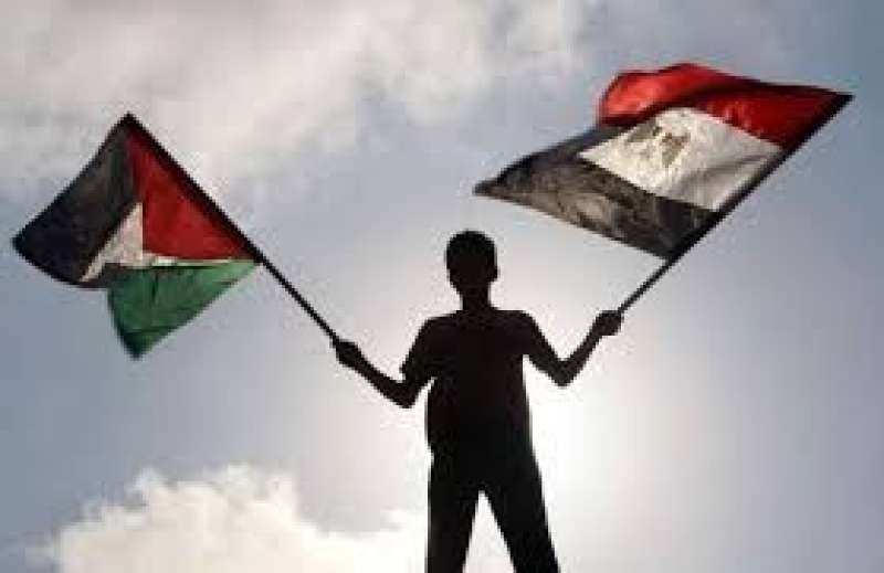 مصر وفلسطين