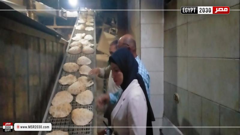 محافظة كفرالشيخ