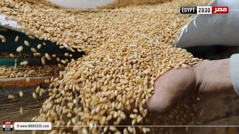 بناء مركز للحبوب الروسية في مصر