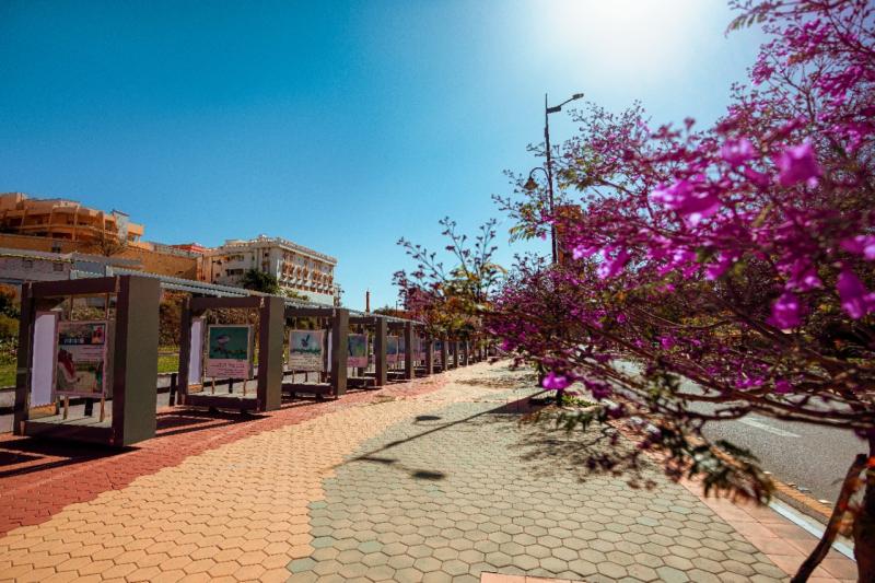 منطقة عسير 