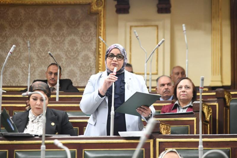 النائبة عفاف زهران، عضو مجلس النواب