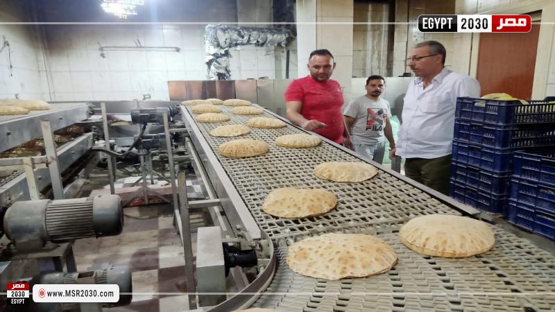 محافظة كفرالشيخ