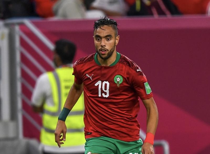 محمد الشيبي